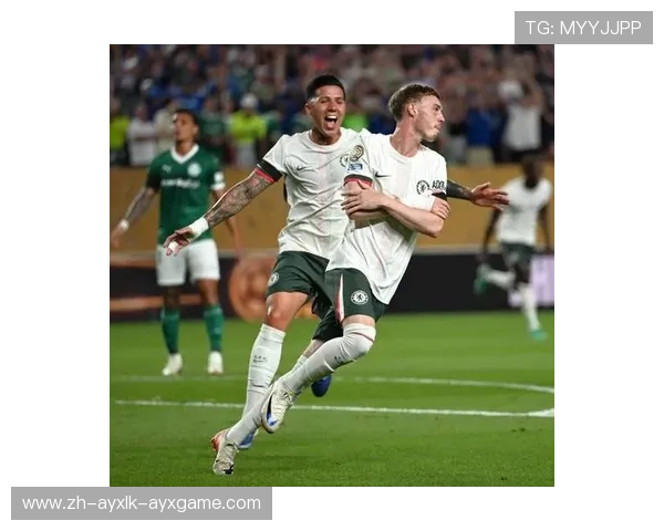 巴西世俱杯球迷文化观察及地域足球传统影响