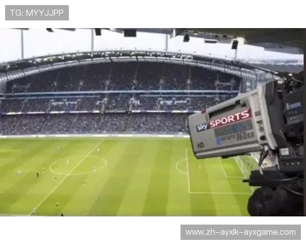 英超球队盈利情况的分析与财务报告